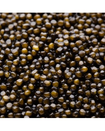 Caviar Baeri - DOM PETROFF