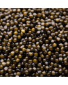 Caviar Baeri - DOM PETROFF