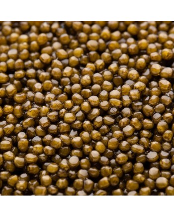 Caviar Ossetra- DOM PETROFF